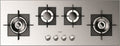 Fulgor FSH 1124 G 2DWK XX Piano cottura a gas cm 112 - inox