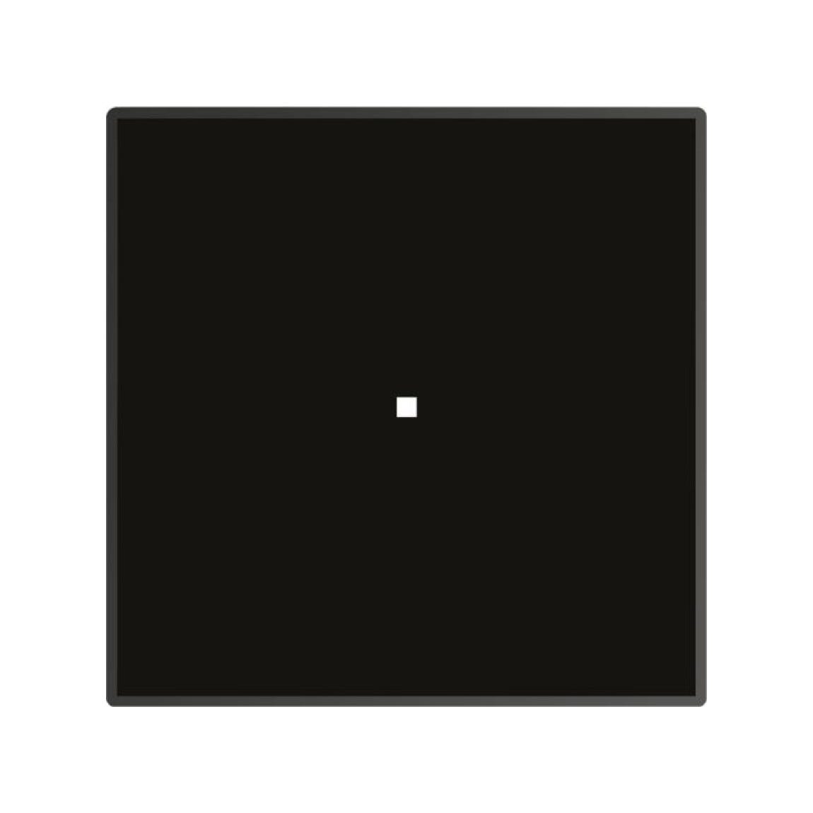 Foster 7365300 Modular Quadra Piano cottura a induzione cm 30 - vetroceramica nero