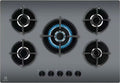 Electrolux EGG75372M Serie 600 Piano cottura a gas cm 74 - vetro grigio