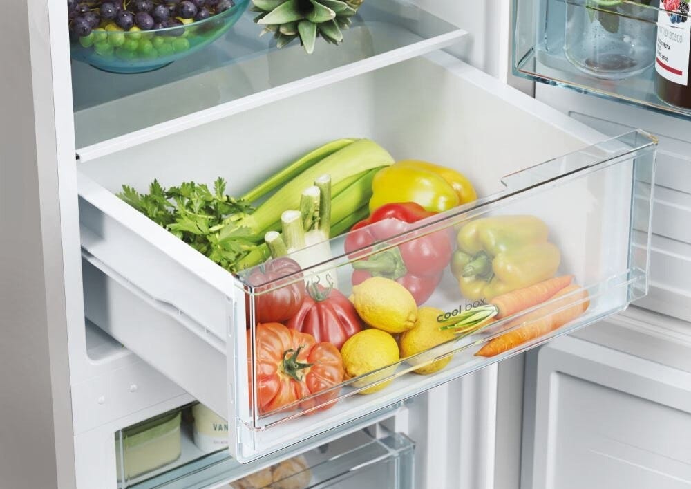 Candy CCT3L517ES Frigorifero con congelatore a libera installazione - cm. 55 h 176 - lt. 260 - inox