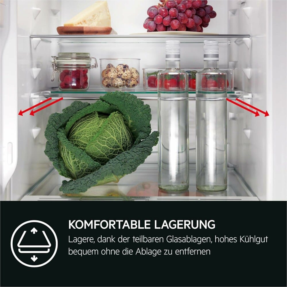 AEG TK9ZS181DC Serie 9000 Frigorifero da incasso cm. 56 h. 178 - lt. 274