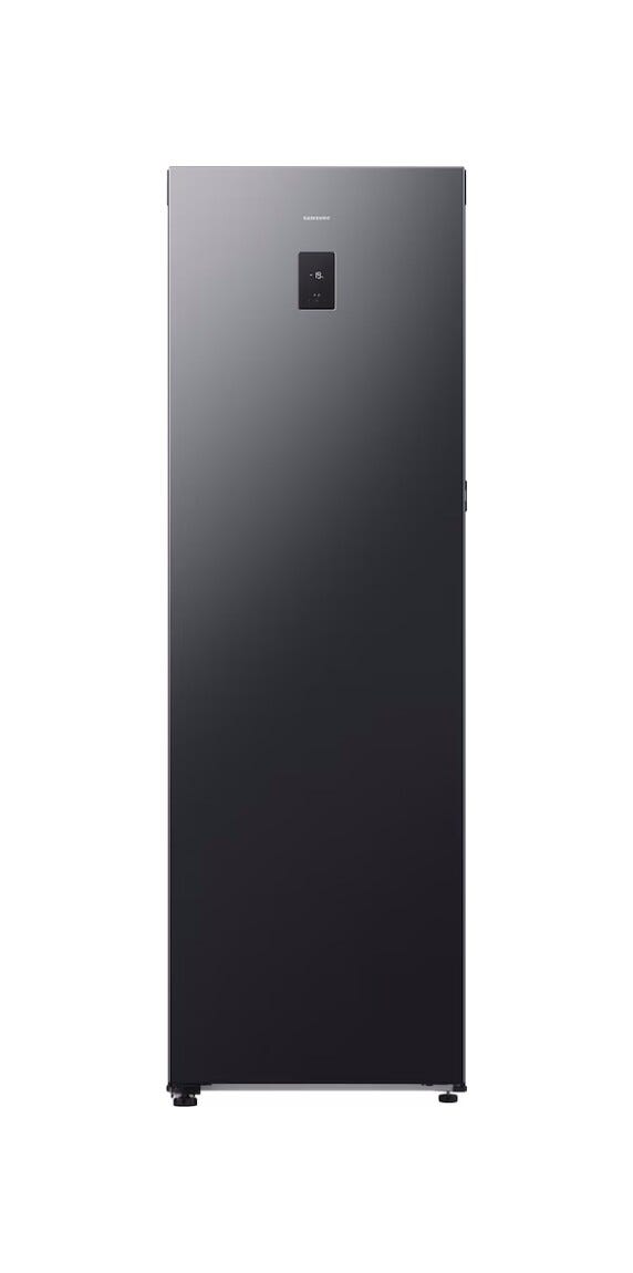 Samsung RZ80H32HDFEO Congelatore monoporta a libera installazione, 323 L, Total No Frost, All Around Cooling, classe D, Grafite